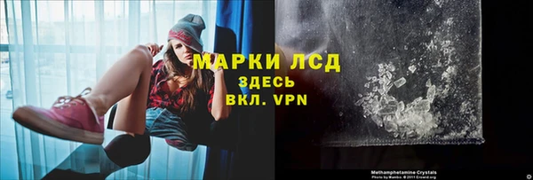 ГАЛЛЮЦИНОГЕННЫЕ ГРИБЫ Арсеньев