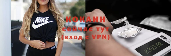 твердый Аркадак
