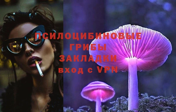твердый Армянск