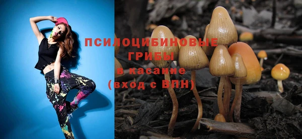 ГАЛЛЮЦИНОГЕННЫЕ ГРИБЫ Арсеньев