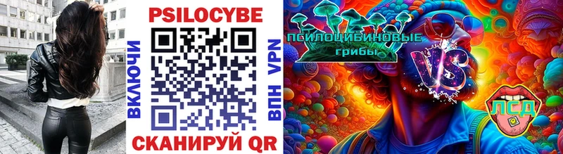 Галлюциногенные грибы Magic Shrooms  купить   Кинель 