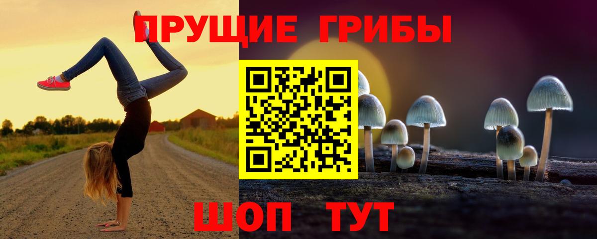 Кинель  Галлюциногенные грибы Psilocybe  Вход с VPN 